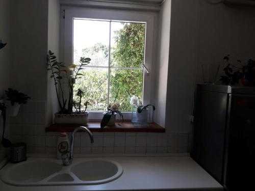 a kitchen with a sink and a window at Apartment Hela in Zadar