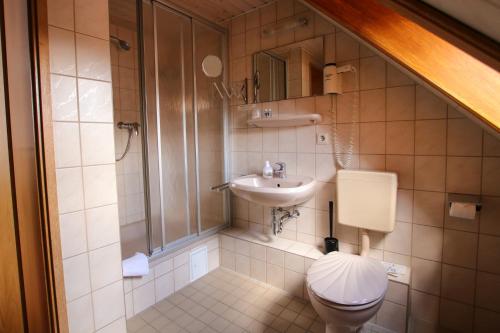 a small bathroom with a toilet and a sink at Hotel & Restaurant Druidenstein in Trautenstein