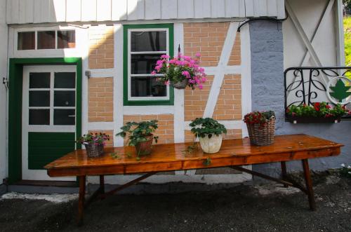 a wooden table with potted plants on it in front of a house at Hotel & Restaurant Druidenstein in Trautenstein