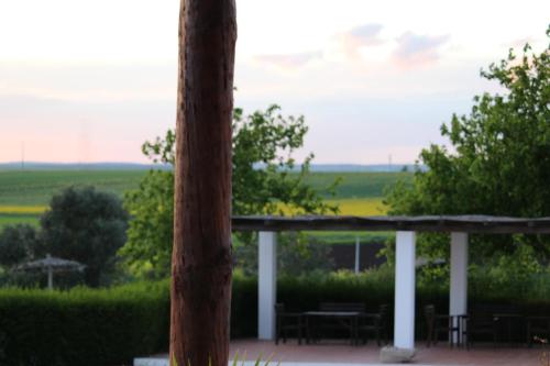 a view of a patio with tables and an umbrella at Monte Da Morena Agro-Turismo in Serpa