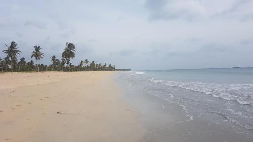 Un paisaje natural cerca de la casa de huéspedes