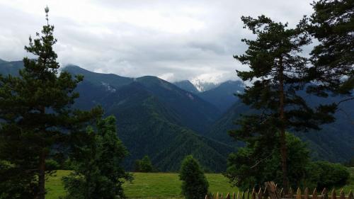 a view of a mountain range from between two trees at Heshkili huts and cabins Svaneti in Keshkili