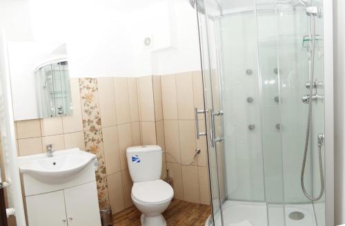 a bathroom with a shower and a toilet and a sink at Pensiunea Otopeni in Otopeni