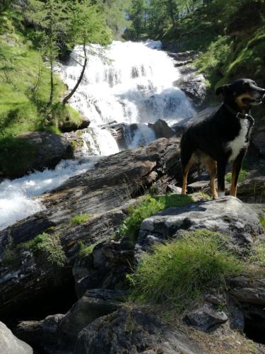 Voglia di Veglia – Photos 3