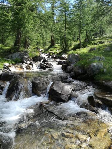 Voglia di Veglia – Photos 4