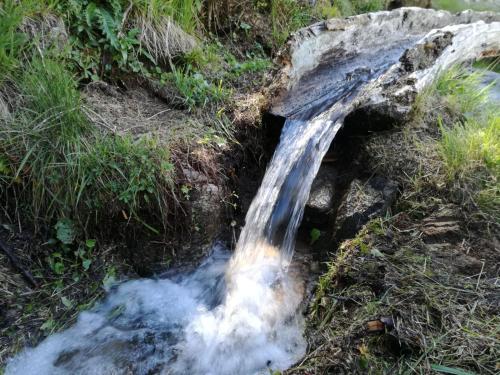Voglia di Veglia – Photos 5