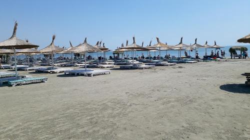 a beach with many chairs and umbrellas and the ocean at Garsoniera Delia in Constanţa