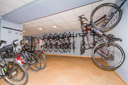 Jízda na kole v ubytování Eix Alcudia Hotel Adults Only nebo okolí