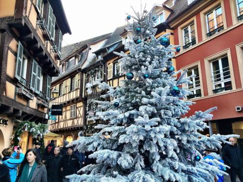 a christmas tree in the middle of a city at Gîte Atelier de Hansi - Colmar Centre in Colmar
