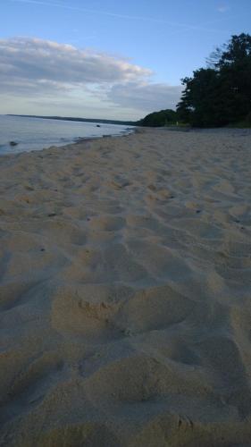 a sandy beach with footprints in the sand at Elisetorp in Kivik
