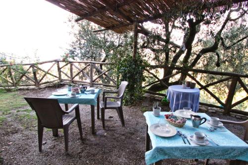 two tables and chairs under a pergola with food at Casarufolo Paradise in Sorrento