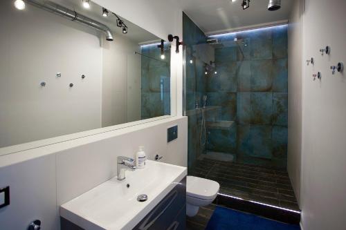 y baño con lavabo y ducha. en Houseboat Apartment en Sopot