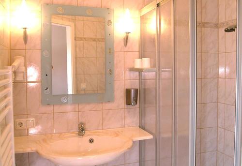 a bathroom with a sink and a shower with a mirror at Rinchnacher Hof in Rinchnach