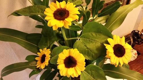 a bunch of yellow flowers in a vase at Ferienhof Kampfl in Fügen