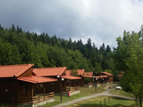 Livadaki Village - Δασικό Χωριό Λιβαδάκι