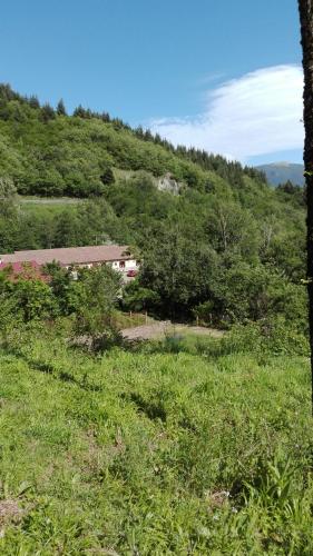 a grassy field with a house on a hill at Agriturismo Rio Ricco in Busana
