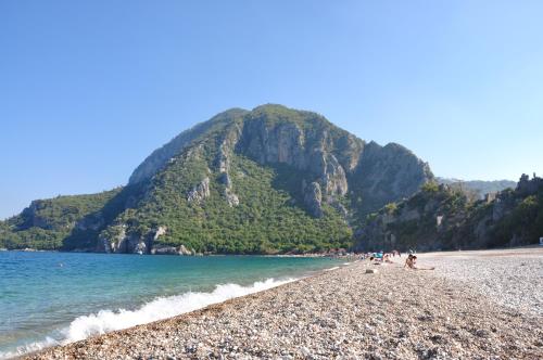 a group of people on a beach with a mountain at Turkmen Tree Houses in Olympos
