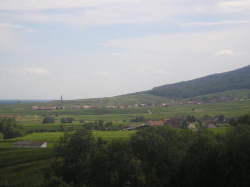 a view of a green valley with trees and houses at Eden des choux in Krautergersheim