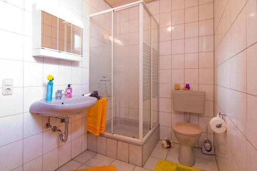 a bathroom with a shower and a sink and a toilet at Ferienwohnung Nisius in Geisfeld