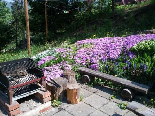 a park bench next to a field of purple flowers at Willa Marylka in Piwniczna