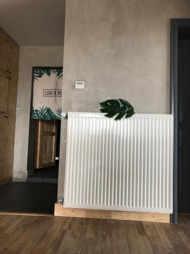 a plant sitting on top of a radiator in a room at Ma Cherie Homestay in Shanghai