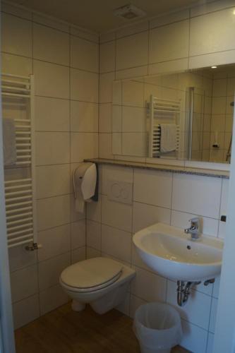 
a white toilet sitting next to a sink in a bathroom at Hotel "Wilder Mann" in Linz
