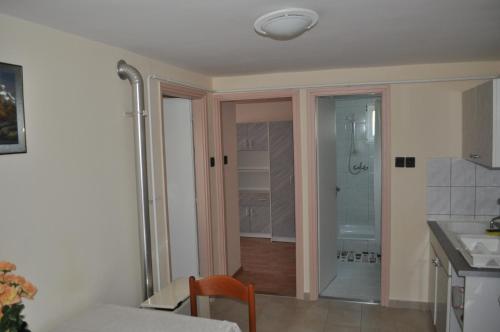 a kitchen with a shower and a glass door at Gitta Apartmanház in Zalakaros