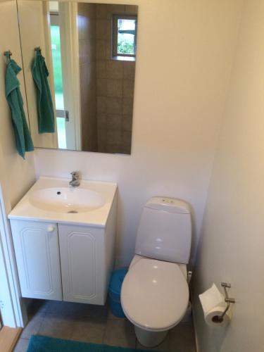 łazienka z toaletą i umywalką w obiekcie Mikkelborg B&B w mieście Hørsholm