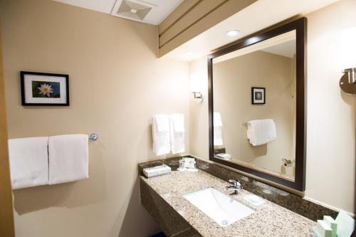 a bathroom with a sink, mirror, and toilet at Millcroft Inn & Spa in Alton