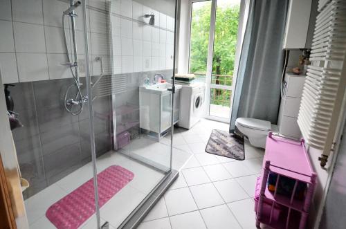 a bathroom with a shower and a sink and a toilet at Apartament Krych in Rabka-Zdrój