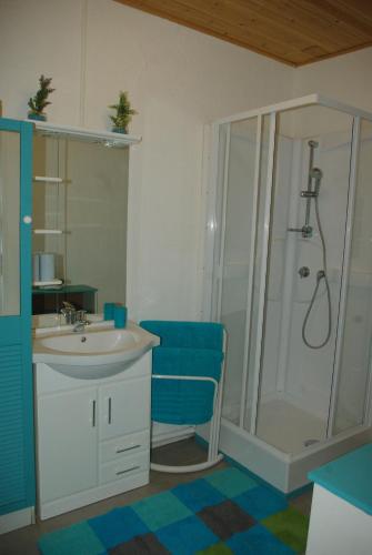 La salle de bains est pourvue d'un lavabo et d'une douche. dans l'établissement Gite d'étape le Belvédère de Sainte-Anne, à Condamine-Châtelard