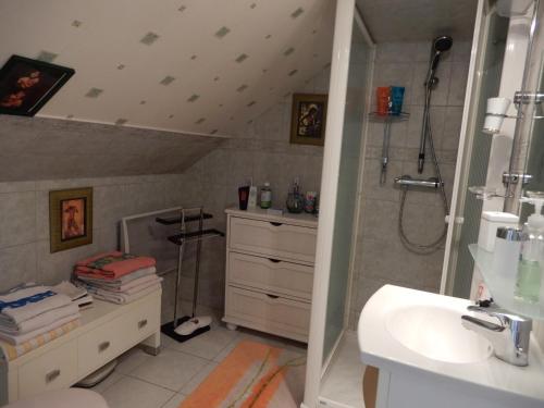ein Bad mit einer Dusche und einem Waschbecken in der Unterkunft Chez Marie in Cercy-la-Tour