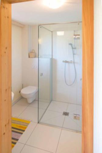 a glass shower in a bathroom with a toilet at Südalpen Lofts in Bleiburg