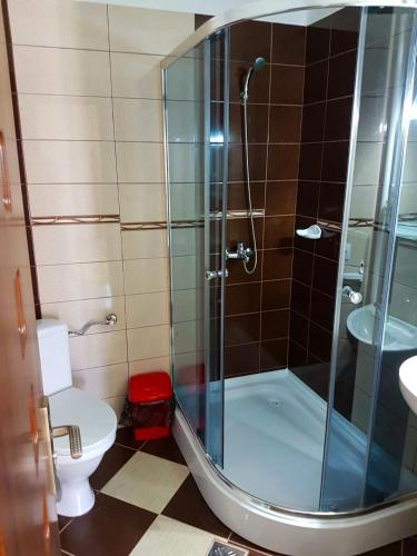 a bathroom with a shower and a toilet at Casa DeLux in Băile Olăneşti