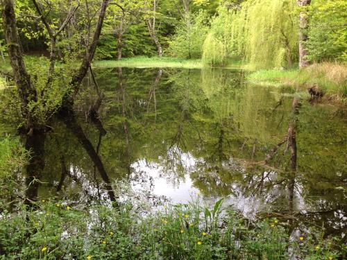 a body of water with trees and plants at Kitka Hostel - Guest House in Tetovo