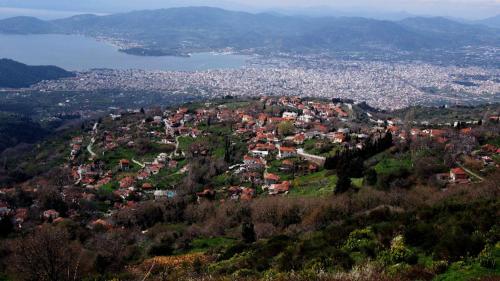 Φυσικό τοπίο κοντά σε αυτός ο ξενώνας