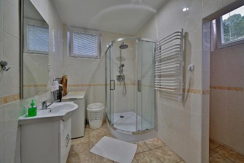 a bathroom with a shower and a toilet and a sink at Apartman Afrodita 1 in Bardejovské Kúpele
