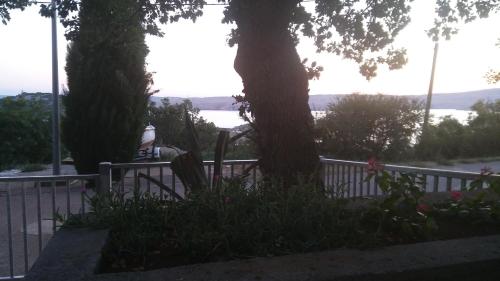 a fence with two trees and flowers next to a tree at Apartments Vila Zagorje in Stinica
