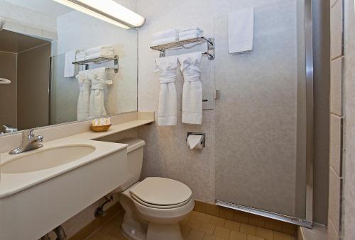 a bathroom with a toilet and a sink and a mirror at Town House Motel in San Francisco