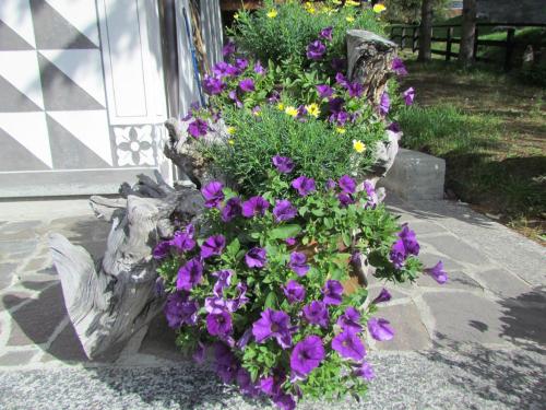 a flower box with purple flowers in it at Hotel Duc De Rohan in Livigno