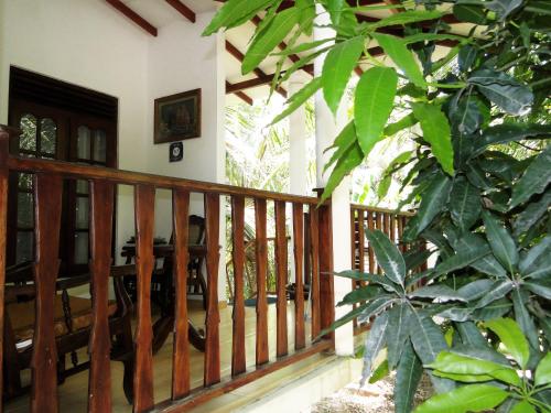 a wooden staircase in a house with a plant at Turtle Lamp in Unawatuna