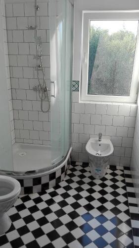 a bathroom with a shower and a toilet and a sink at Domek nad morzem Mechowo in Mechowo