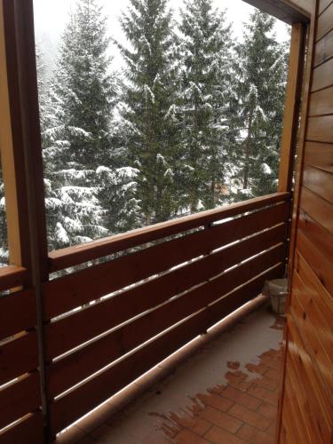 a window with a view of snow covered trees at Canazei Vacanze Dolomiti in Alba di Canazei