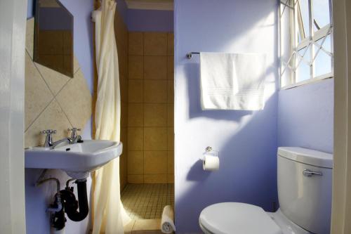 a blue bathroom with a toilet and a sink at Minilitha Lodge in Richards Bay