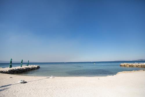 Apartman Roza