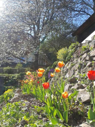 a garden with orange and yellow flowers on a hill at Lerchenhof in Friesach