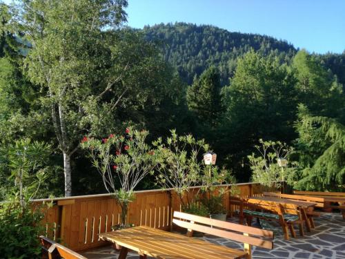 a group of wooden benches on a deck with trees at Pension Stöcklmühl in Oberdrauburg