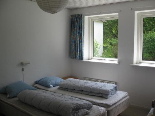 two beds in a room with two windows at Lyngbjerggaard Ferieboliger - B&B in Fjerritslev