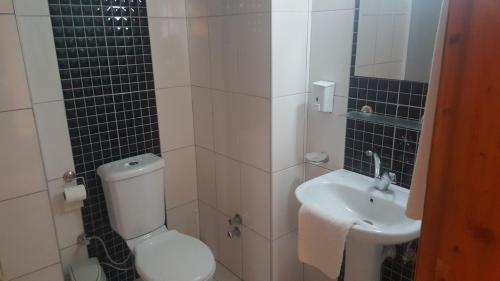 uma casa de banho com um WC e um lavatório em Damlatas Elegant Apart Hotel em Alanya