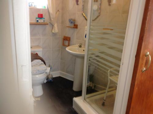 a bathroom with a shower and a toilet and a sink at Sherwood Lodge in Skegness